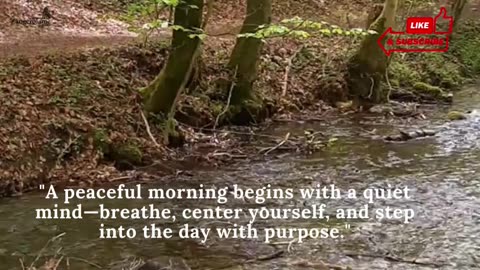 "A peaceful morning begins with a quiet...