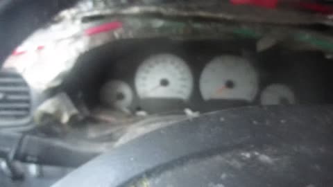 I'm at a crossroads. 11/16/2025.