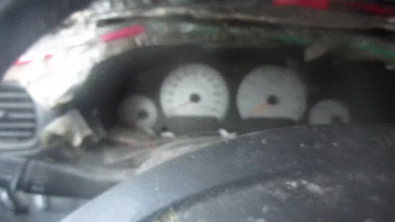 I'm at a crossroads. 11/16/2025.