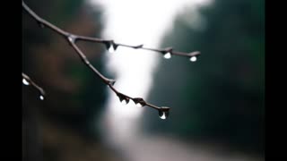 Lord Winter - Weep