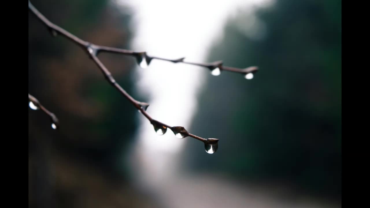 Lord Winter - Weep