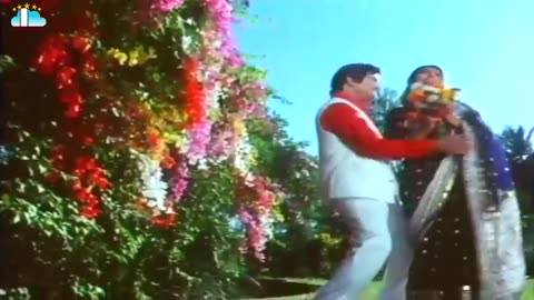 Justice Chowdary Movie Nee Toli Choopulone Video Song NTR Sharada @skyvideostelugu