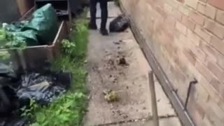 😂🤫 Master Thief Tries to Steal a Bike! | FunFM