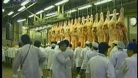 China Central TV CCTV3 September 13, 2001 700pm-730pm CST