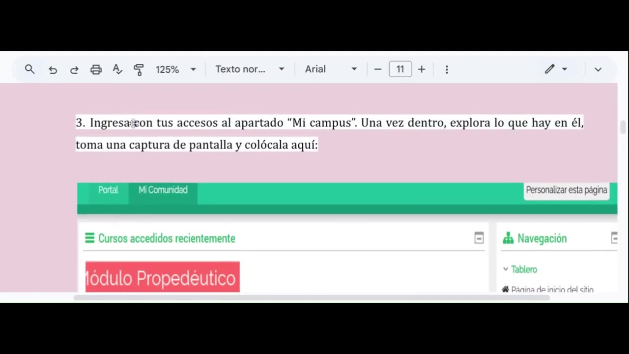MODULO PROPEDEUTICO SEMANA 1 ACTIVIDAD INTEGRADORA 1