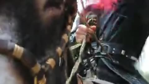 Wei Wuxian Calming Little Apple—This On-Set Moment Is Better Than the Actual Drama 🔥