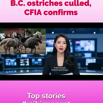 B.C. ostriches culled, CFIA confirms