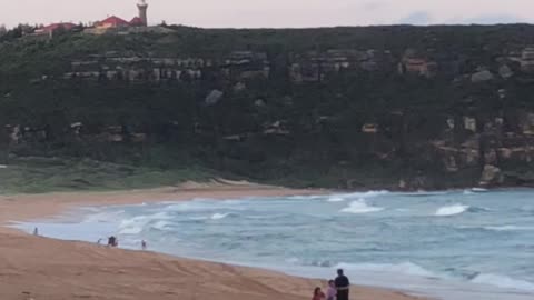 Palm Beach Sydney 🏖️
