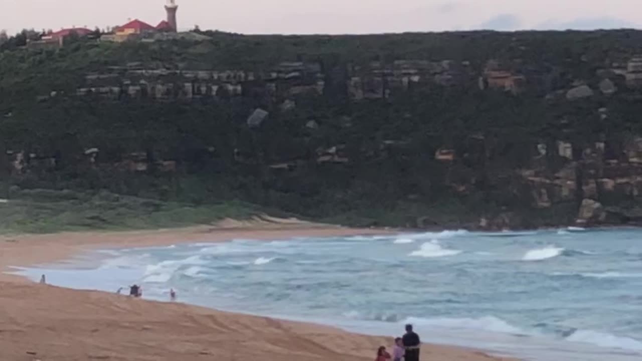 Palm Beach Sydney 🏖️