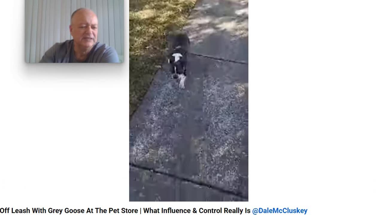 The Anti Dog Trainer - Control and Influence takes a Walk - Pt 7