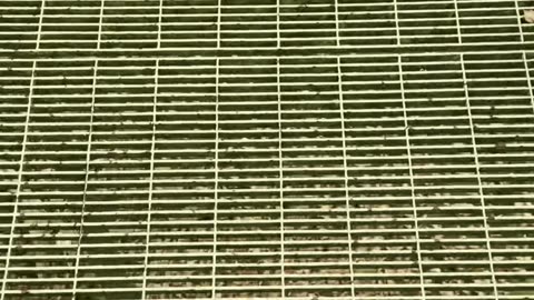 Leechburg Riverfront Park - Part 2/4