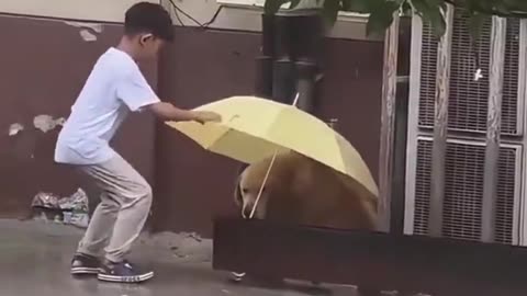 Kids and pets