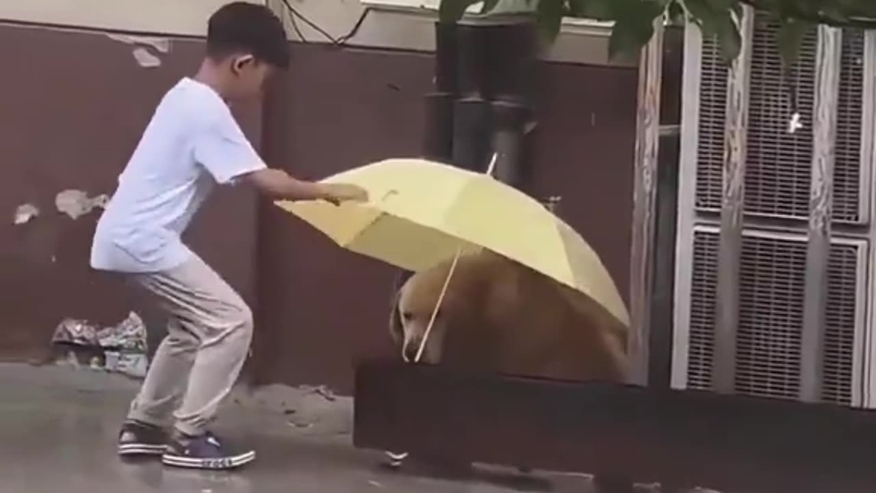 Kids and pets