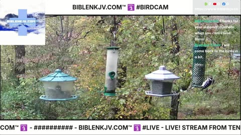BIBLENKJV.COM™ 🛐 10/27/2025 #LIVE #BIRDCAM #WEATHER