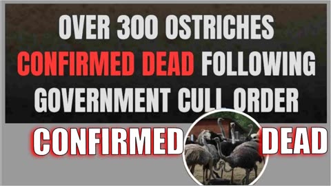 The Canadian Ostriches Have Been Killed