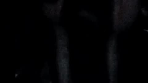 😱👻 GhostlyToksa #ghostlytoksa #paranormal #ouija #creepytok #windigo #ghost #scary | TheHauntingHour