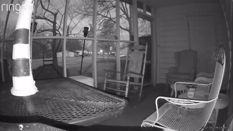 😱🕷️ Paranormal or Just a Bug? You Decide! | TheHauntingHour