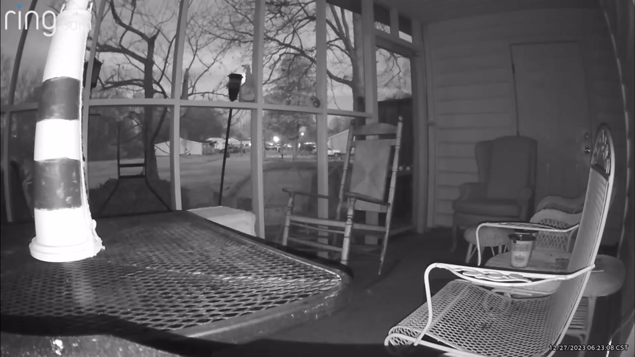 😱🕷️ Paranormal or Just a Bug? You Decide! | TheHauntingHour