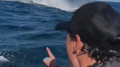 😮🐳 This Whale Gives Him A Show You Won't Believe! | FeedMyCuriosity