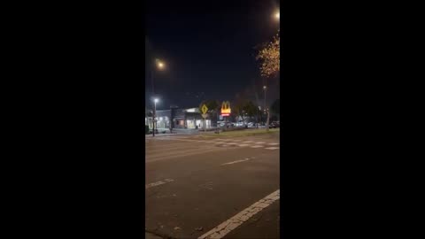 Une ombre court dans le jardin