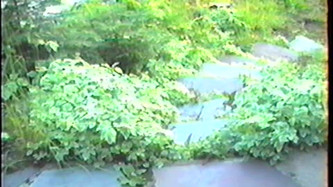 1992-NY-LakeTitus