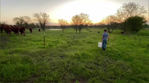 REP Provisions Meat Box Review: Sustainable & Healthy Eating