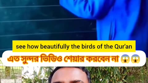 Beautiful Quran Recitation - Let's see how many people love this!