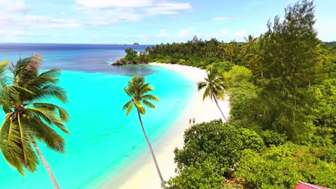 Palm Breeze House – Tropical Chill Mix