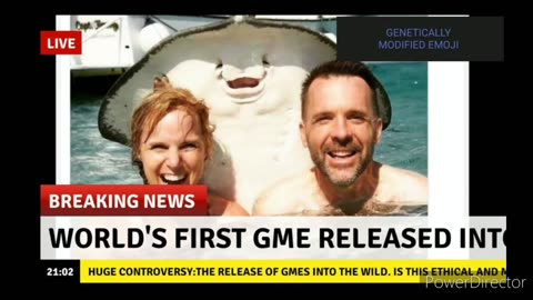 WORLDS FIRST GME UNLEASHED? # GME