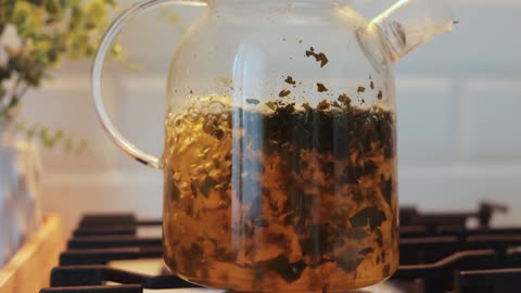 Herbal Remedies for the Common Cold