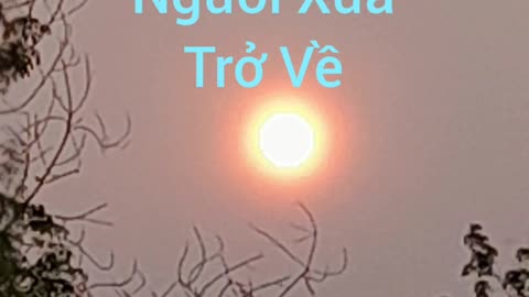 người xưa trở về ( hội long hoa )