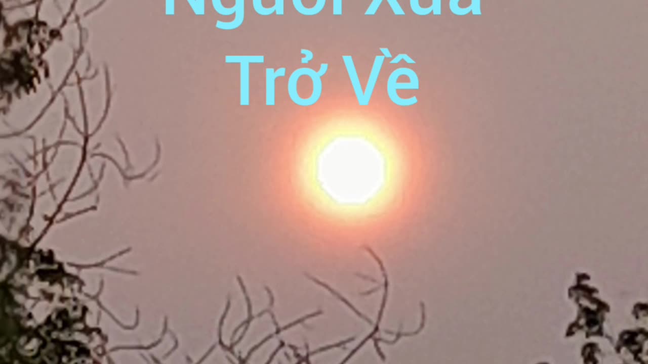 người xưa trở về ( hội long hoa )