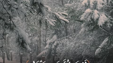 🔥 Surah Ṭā-Hā 20:49–51 — سورة طه⚡👑#love #quran #viral #shorts #trending #Youtubeshorts #fyp #short