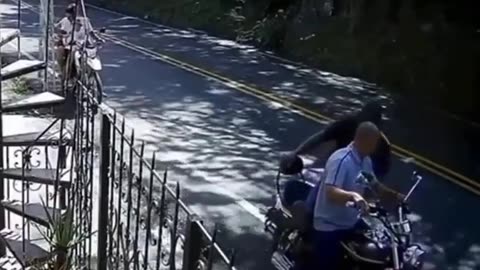 HEY! Watch Out For That BOULDER! It's a LU LU!