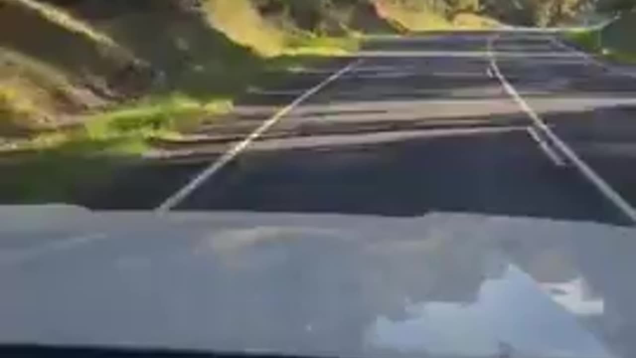 NET ZERO the Carbon Food print - THE RACKETEERING CONSPIRACY 💥EXPLAINED💥