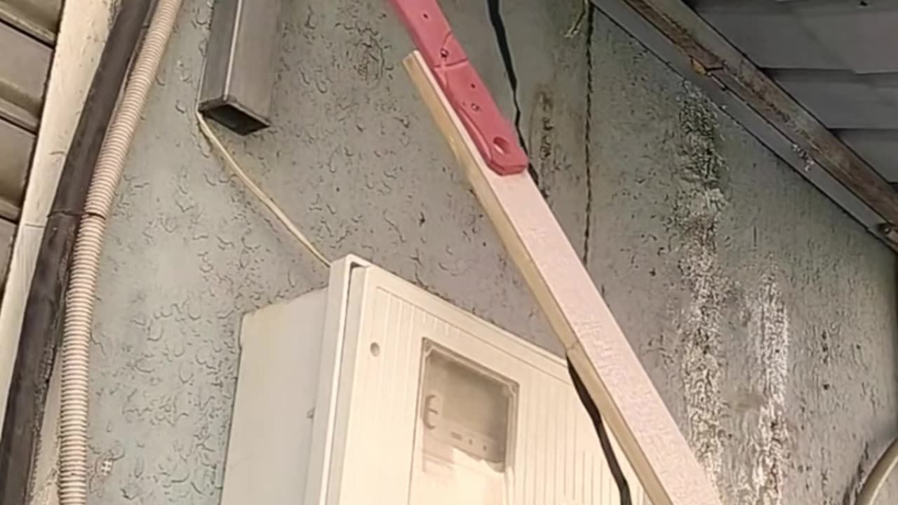 💡✨ A Clever Hack You'll Wish You Knew Sooner | LifeHacksDaily