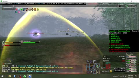 Playing Final Fantasy XI Online