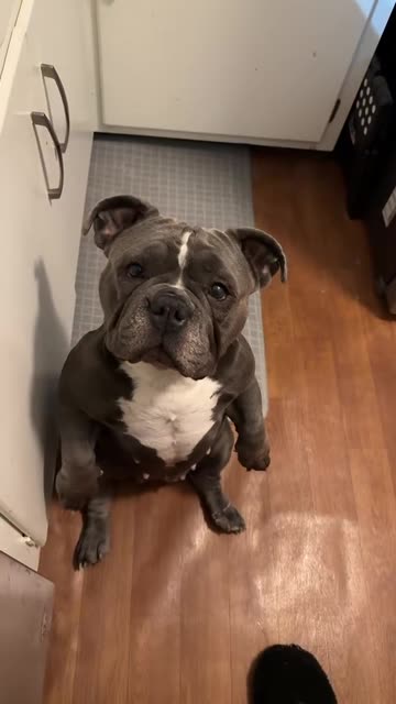 What Could She Possibly Want?