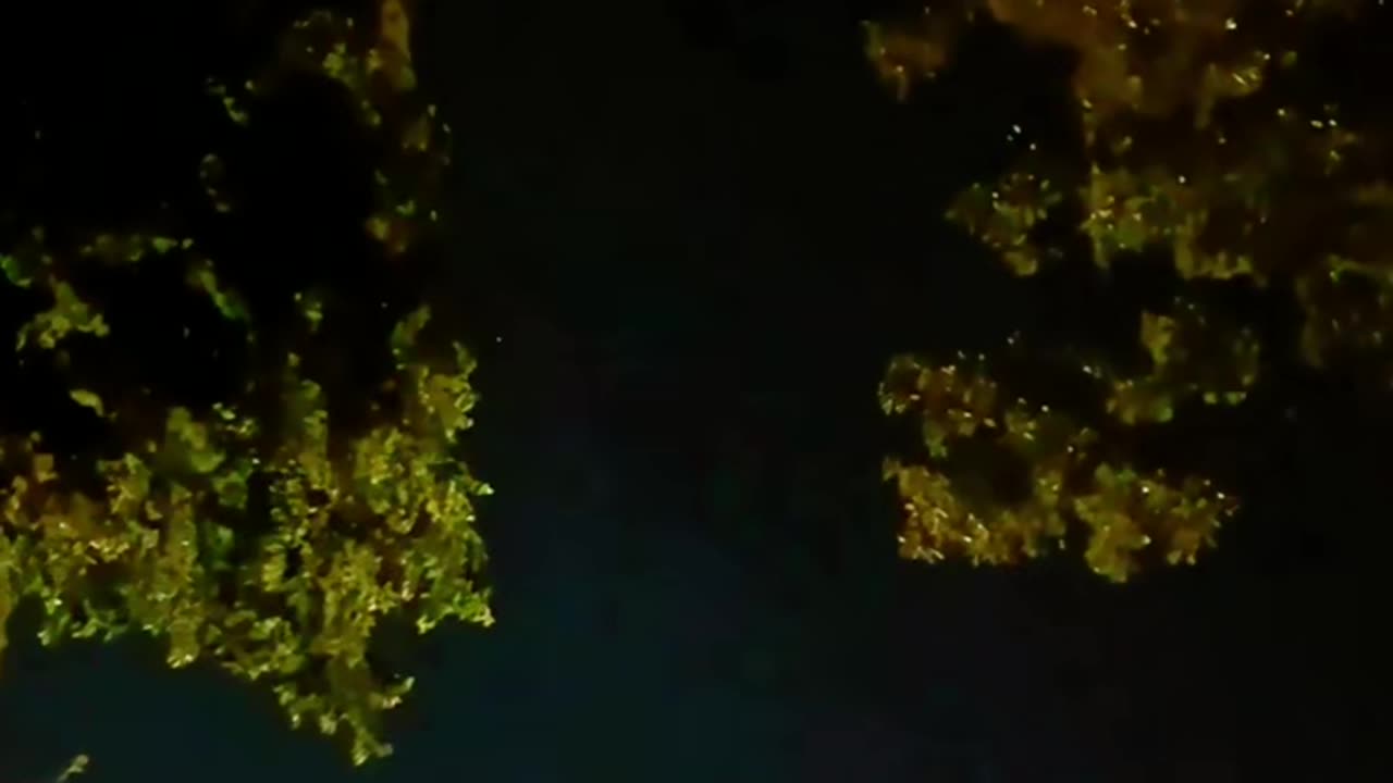 🛸😱 Drone Sighting in Lake Charles, Louisiana! | TheTruthAbove