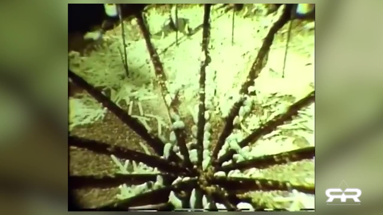 Social Engineering & Spiritual Death