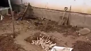 🔥🤯 You Won't Believe What Happens When Playing with Fire! | FunFM