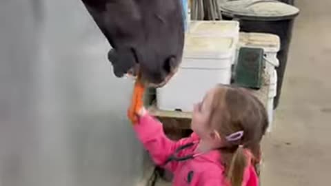 Should I just get a bin of treats next to each stall_ _horse _toddlers _horsecare _equestrian