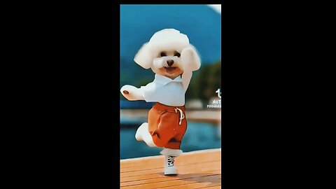 cute cat dancing 😍😍 #cute #cat #dance #trending #cartoon #viralshort #shortsfeed #shorts #funny