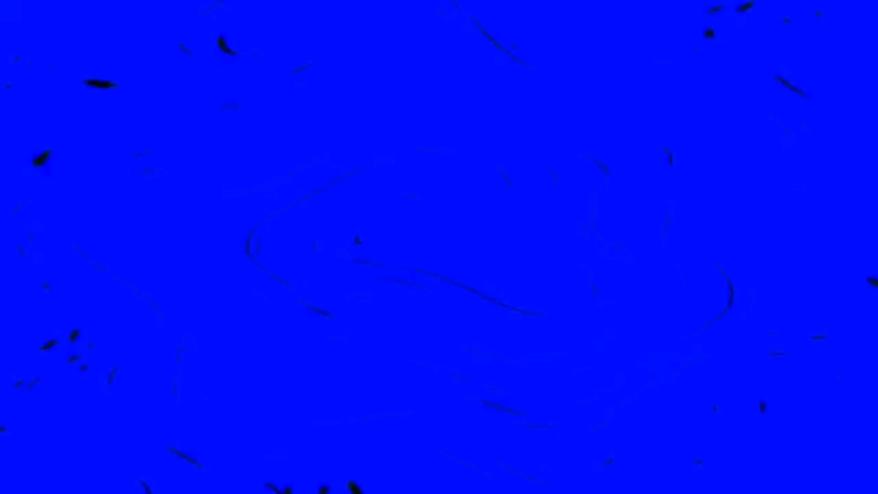 Preview 2 Stuff V531