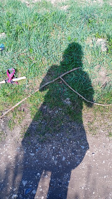 Everything ✨✨✨