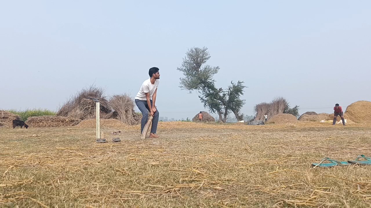 Cricket Match playing in village #cricket #gullycricket