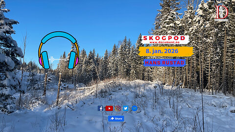 Skogpod 8. januar 2026