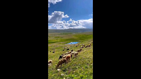 skardu | gilgit baltistan | Pakistan