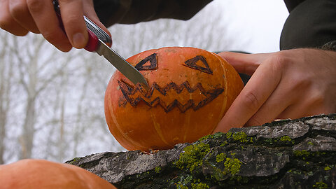 Amazing Outdoots cooking and pumpkin DIY in the wild