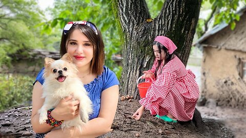 Daily Life of Two Sisters in a Rural Paradise | Walnut Harvest and Cooking